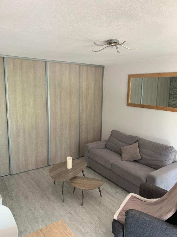 Magnifique T2 Avec Terrasse Et Jardin Prive Apartment *